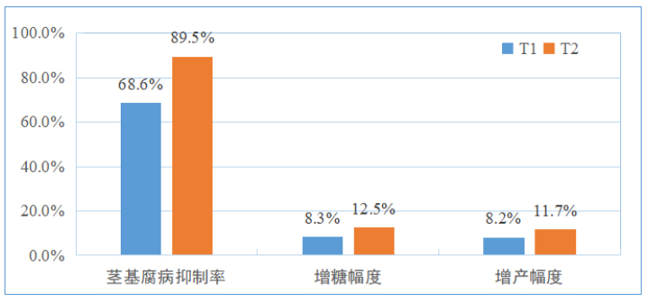 濰坊昌樂某西瓜大(dà)棚