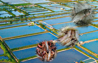 水産養殖業