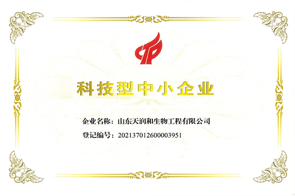科技型中小企業